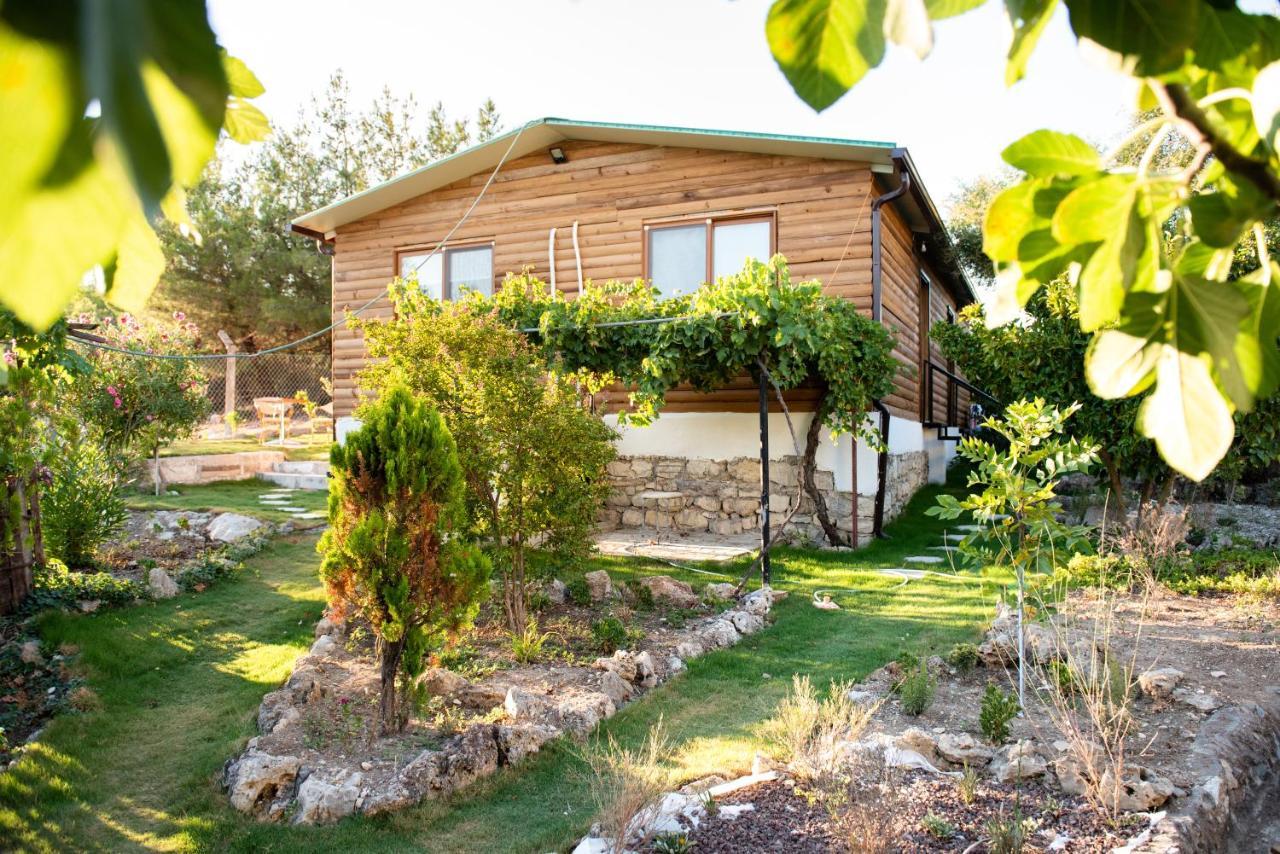 My House Urla Hotel İzmir Ngoại thất bức ảnh