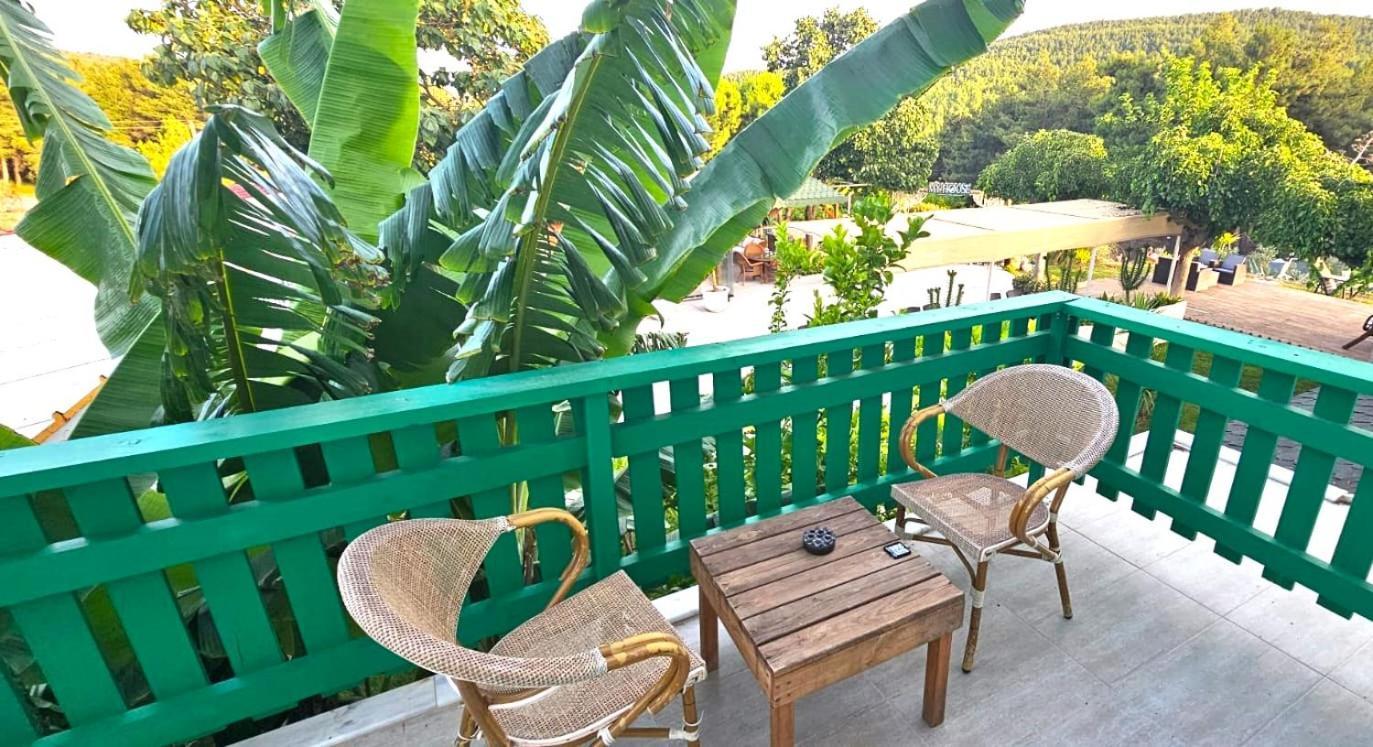 My House Urla Hotel İzmir Ngoại thất bức ảnh